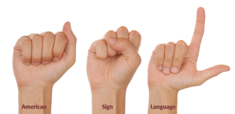 The detailed understanding of the American Sign Language
